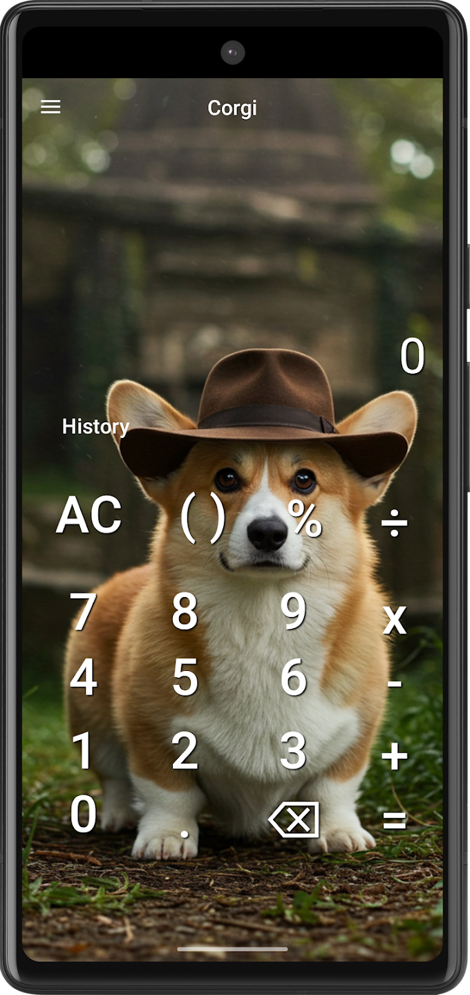 corgi