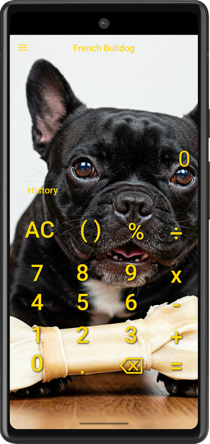 French Bulldog