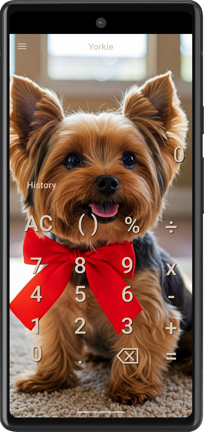 Yorkie Dog